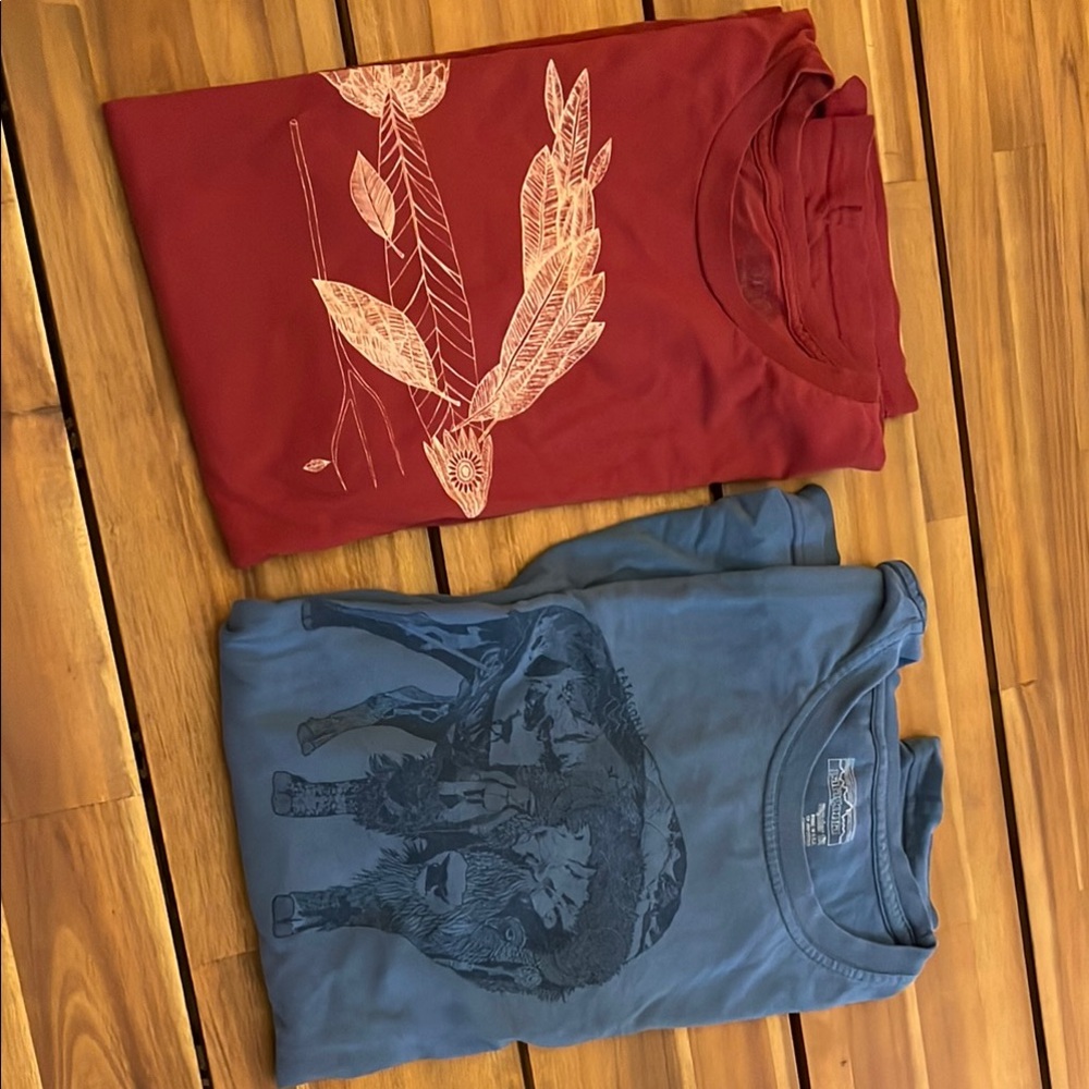 Men’s Graphic Patagonia Tees - Red and Blue L